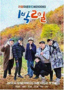 户外慢综艺一个人的露营海报